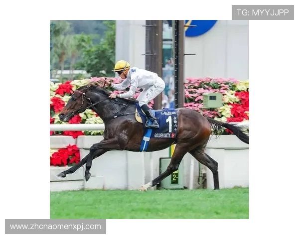 hkjc官方网站最新资讯与全面指南帮助玩家轻松掌握赛马投注技巧